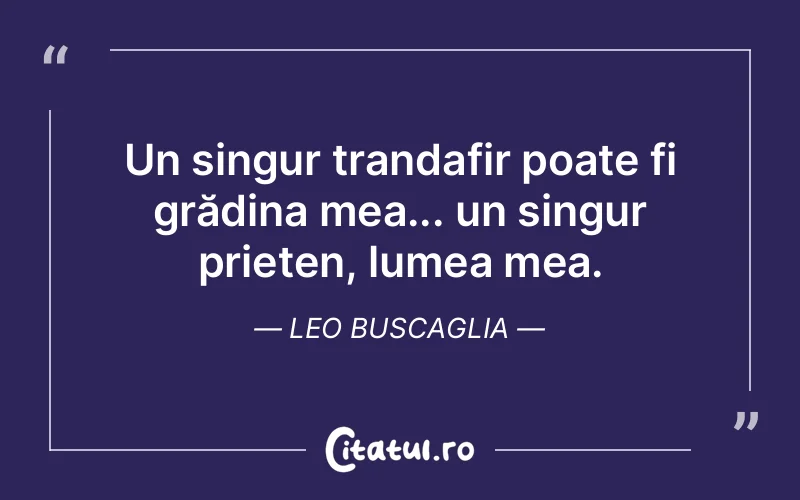 Citat Leo Buscaglia - citate prietenie