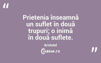 Prietenia înseamnă un suflet în două trupuri; o inimă în două suflete. Aristotel...