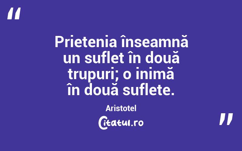 Prietenia înseamnă un suflet în două trupuri; o inimă în două suflete. Aristotel
