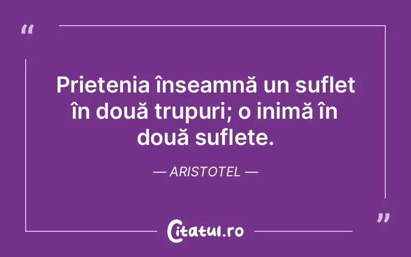 Citat Aristotel - citate prietenie