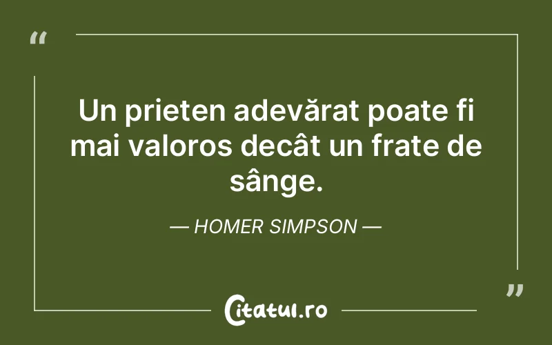 Citat Homer Simpson - citate prietenie