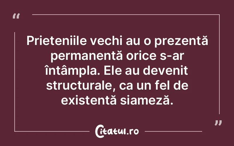 Citat Autor necunoscut - citate prietenie