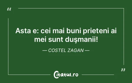 Asta e: cei mai buni prieteni ai mei sun...