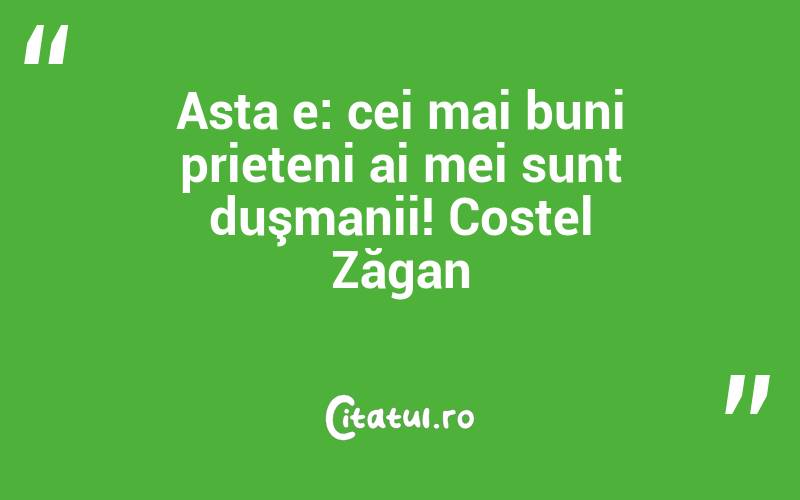 Asta e: cei mai buni prieteni ai mei sunt duşmanii! Costel Zăgan
