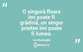 O singură floare îmi poate fi grădină, un singur prieten îmi poate fi lumea. Leo Buscaglia...