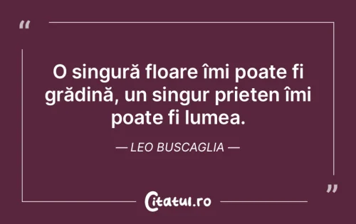 Citat Prietenie - Citatul.ro