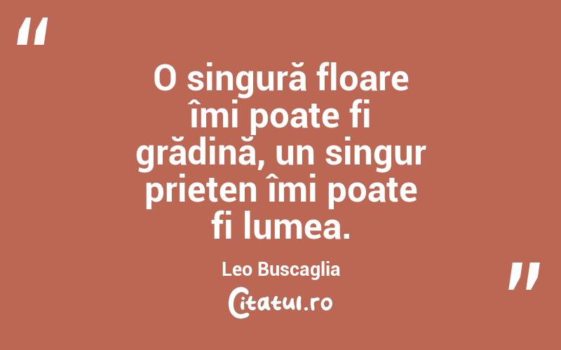 O singură floare îmi poate fi grădină, un singur prieten îmi poate fi lumea. Leo Buscaglia
