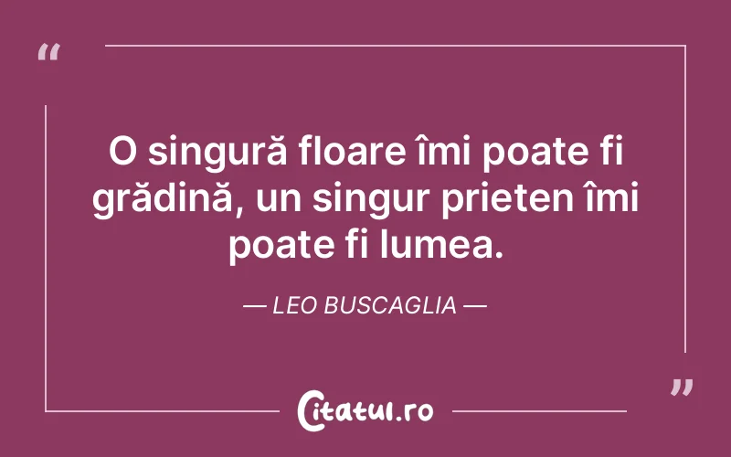 Citat Leo Buscaglia - citate prietenie