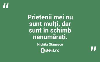 Prietenii mei nu sunt mulţi, dar sunt în schimb nenumăraţi. Nichita Stănescu...