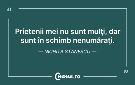 Prietenii mei nu sunt mulţi, dar sunt �...