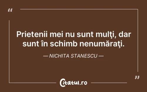 Citat Prietenie - Citatul.ro