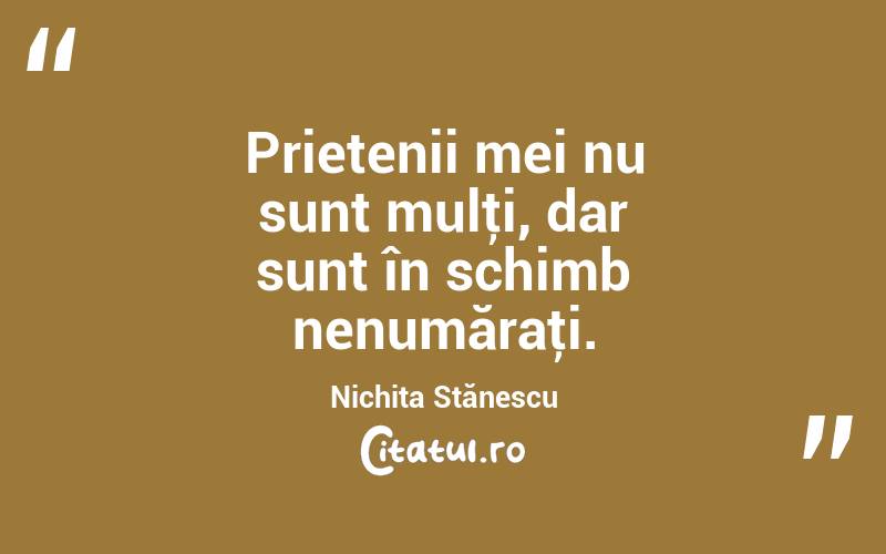 Prietenii mei nu sunt mulţi, dar sunt în schimb nenumăraţi. Nichita Stănescu
