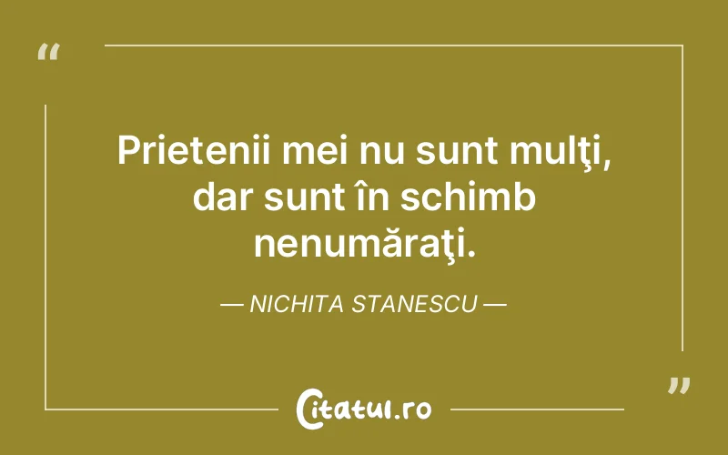 Citat Nichita Stanescu - citate prietenie