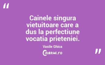 Cainele singura vietuitoare care a dus la perfectiune vocatia prieteniei. Vasile Ghica...