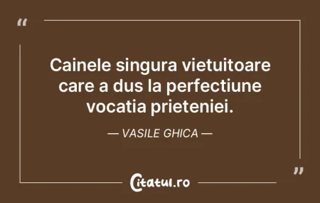Cainele singura vietuitoare care a dus l...