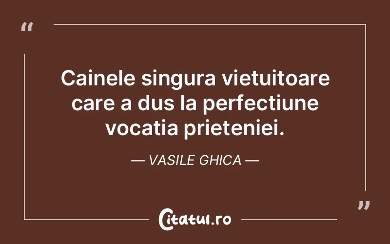 Citat Vasile Ghica - citate prietenie