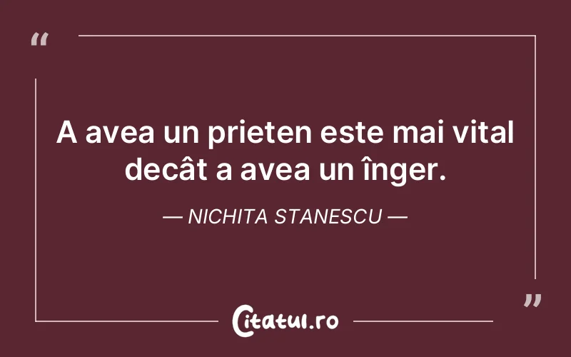 Citat Nichita Stanescu - citate prietenie