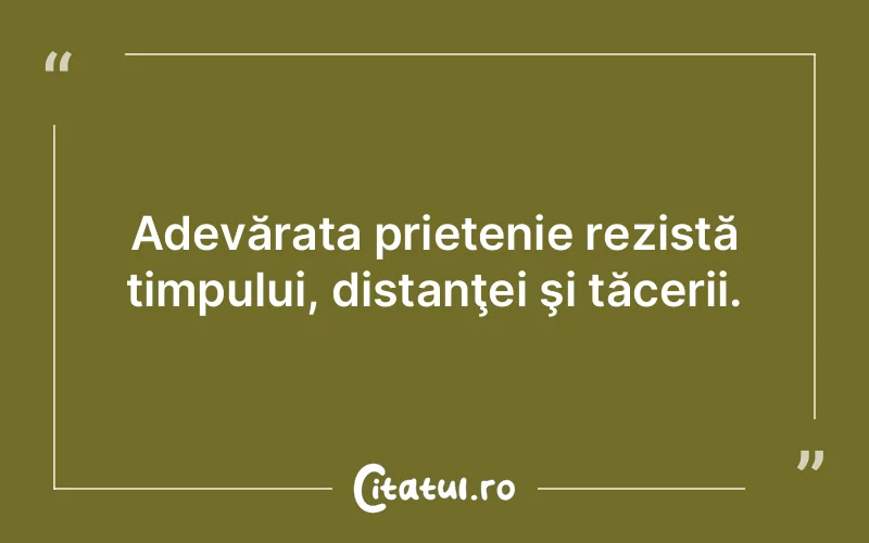 Citat Autor necunoscut - citate prietenie