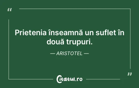 Prietenia înseamnă un suflet în două...