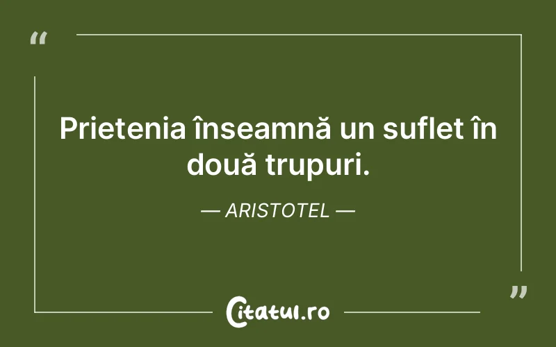 Citat Aristotel - citate prietenie