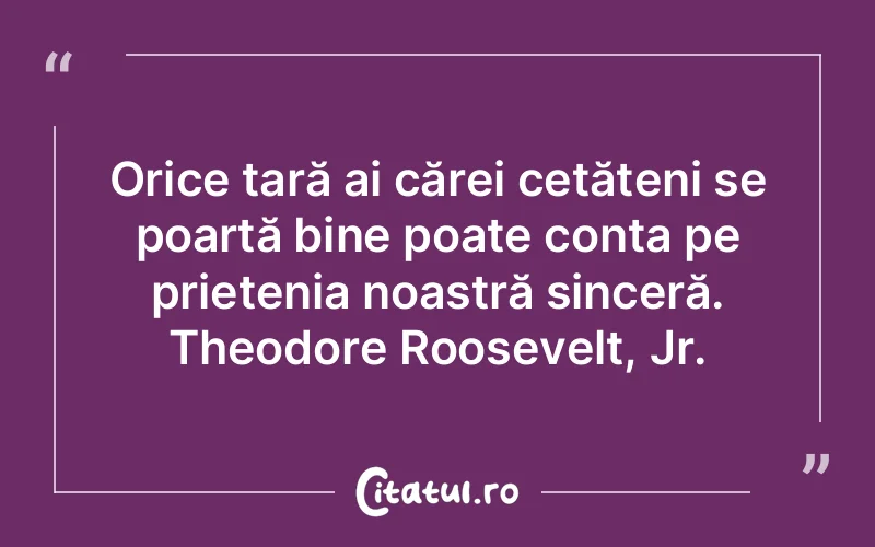 Citat Autor necunoscut - citate prietenie