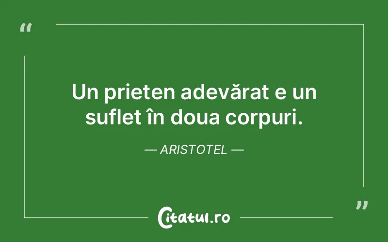 Citat Aristotel - citate prietenie