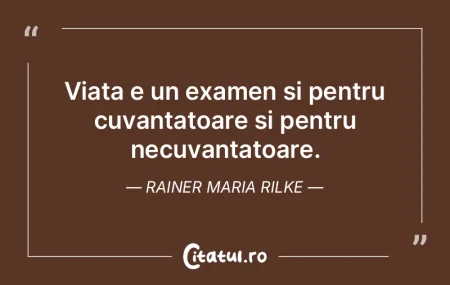 Viata e un examen si pentru cuvantatoare... Viata e un examen si pentru cuvantatoare...