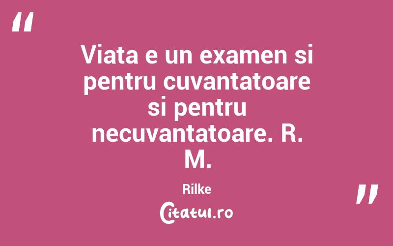 Viata e un examen si pentru cuvantatoare si pentru necuvantatoare. R. M. Rilke