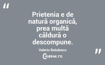 Prietenia e de natură organică, prea multă căldură o descompune. Valeriu Butulescu...