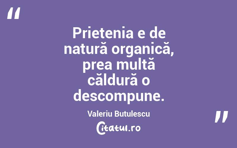 Prietenia e de natură organică, prea multă căldură o descompune. Valeriu Butulescu