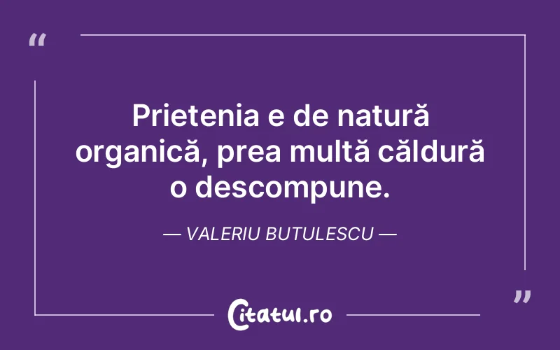 Citat Valeriu Butulescu - citate prietenie