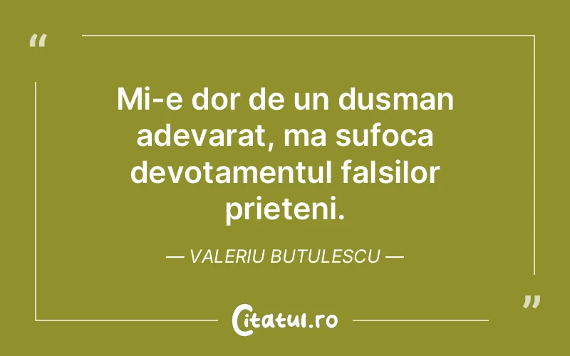 Citat Valeriu Butulescu - citate prietenie