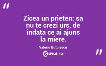 Zicea un prieten: sa nu te crezi urs, de indata ce ai ajuns la miere. Valeriu Butulescu...