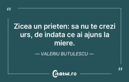 Zicea un prieten: sa nu te crezi urs, de...