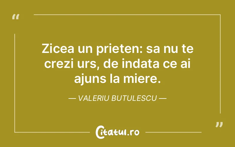 Citat Valeriu Butulescu - citate prietenie