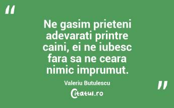 Ne gasim prieteni adevarati printre caini, ei ne iubesc fara sa ne ceara nimic imprumut. Valeriu Butulescu...