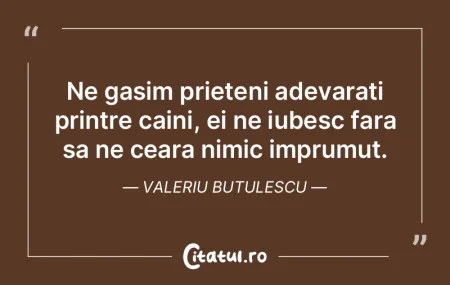 Ne gasim prieteni adevarati printre cain... Ne gasim prieteni adevarati printre cain...