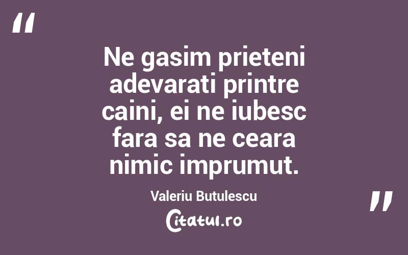 Ne gasim prieteni adevarati printre caini, ei ne iubesc fara sa ne ceara nimic imprumut. Valeriu Butulescu