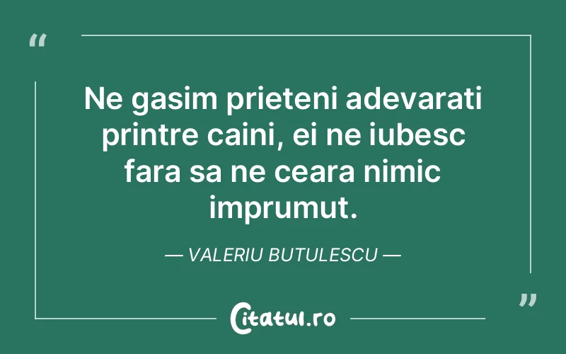 Citat Valeriu Butulescu - citate prietenie