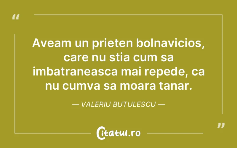 Citat Valeriu Butulescu - citate prietenie