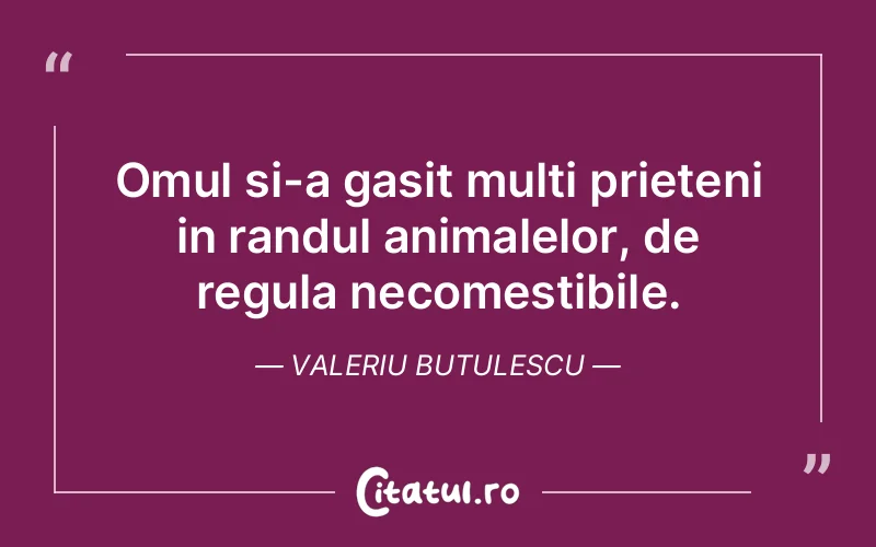 Citat Valeriu Butulescu - citate prietenie
