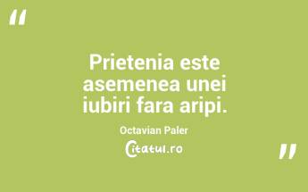 Prietenia este asemenea unei iubiri fara aripi. Octavian Paler...