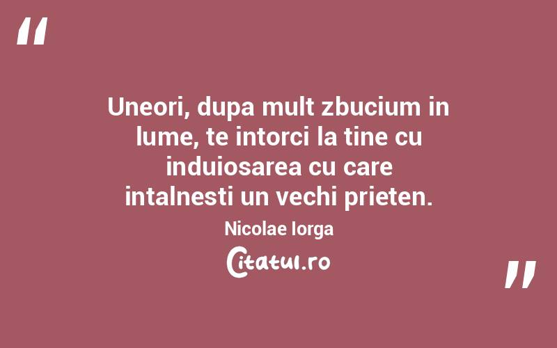 Uneori, dupa mult zbucium in lume, te intorci la tine cu induiosarea cu care intalnesti un vechi prieten. Nicolae Iorga