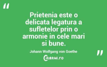 Prietenia este o delicata legatura a sufletelor prin o armonie in cele mari si bune. Johann Wolfgang von Goethe...