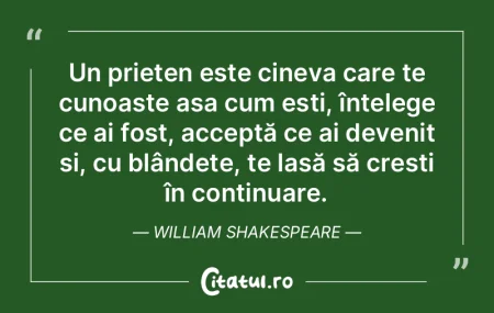 Un prieten este cineva care te cunoaște... Un prieten este cineva care te cunoaște...