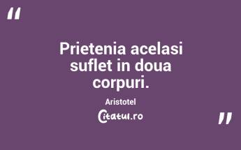 Prietenia acelasi suflet in doua corpuri. Aristotel...