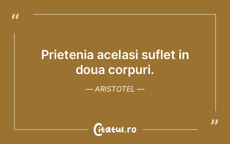 Citat Aristotel - citate prietenie