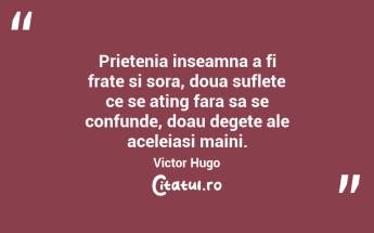 Prietenia inseamna a fi frate si sora, doua suflete ce se ating fara sa se confunde, doau degete ale aceleiasi maini. Victor Hugo...