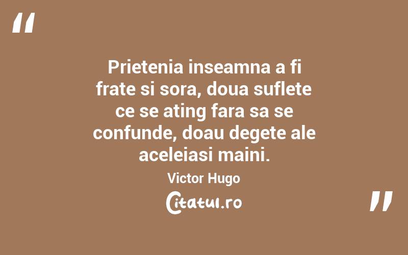 Prietenia inseamna a fi frate si sora, doua suflete ce se ating fara sa se confunde, doau degete ale aceleiasi maini. Victor Hugo
