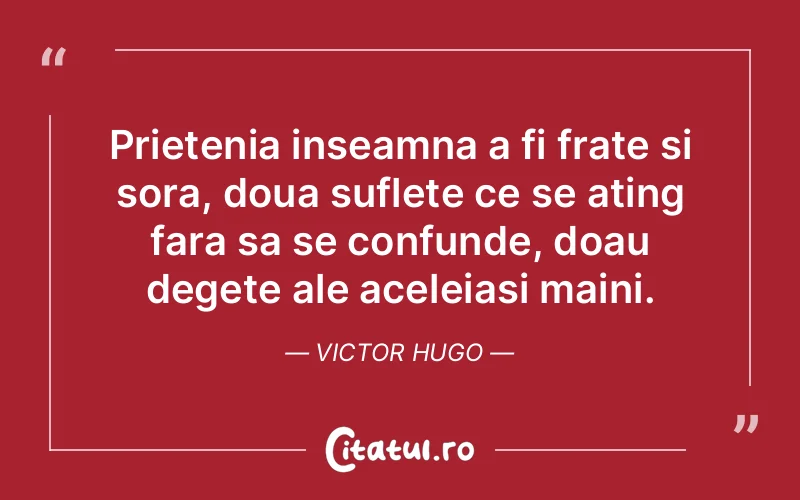 Citat Victor Hugo - citate prietenie